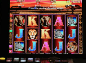 壹号电子娱乐app2024最新版