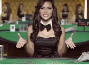 壹号电子娱乐app2024最新版